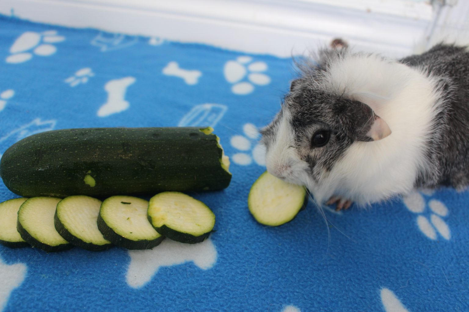 21 Low Calcium Foods For Guinea Pigs Precisely Pets