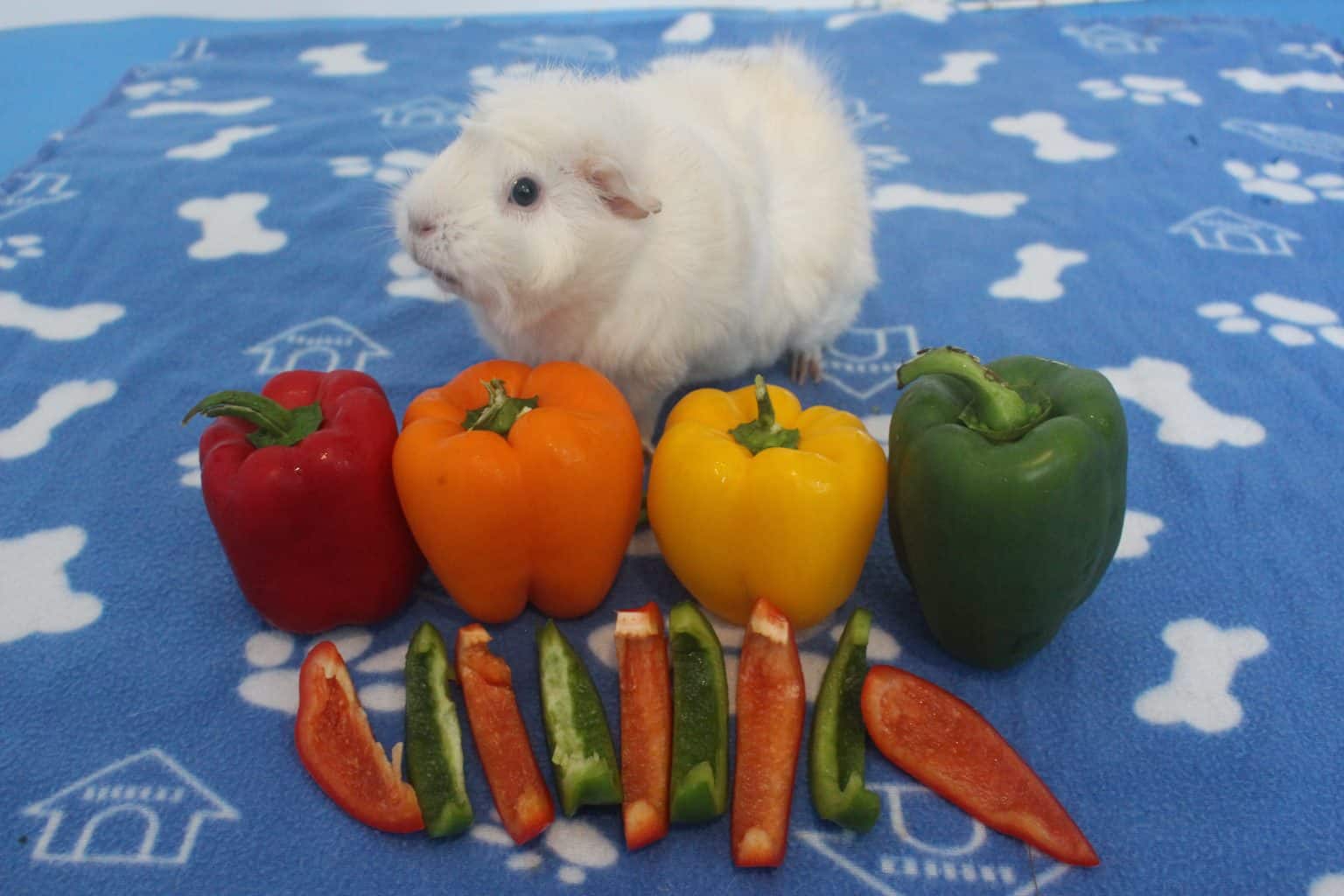 17 Foods For Guinea Pigs That Are High In Vitamin C Precisely Pets